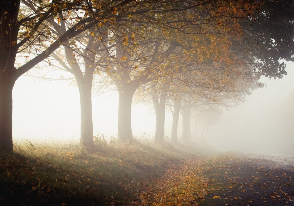 WN Blog 027 – Mist Multiple PSK SSID